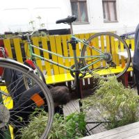 2025_5 Nachbarschaftstag Fahrrad Action 2.jpeg